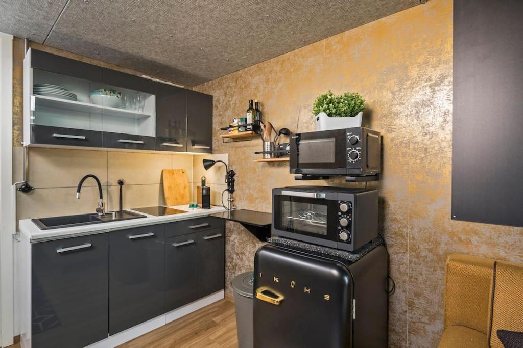 Apartament Dresden Loft An Der Elbe Zewnętrze zdjęcie